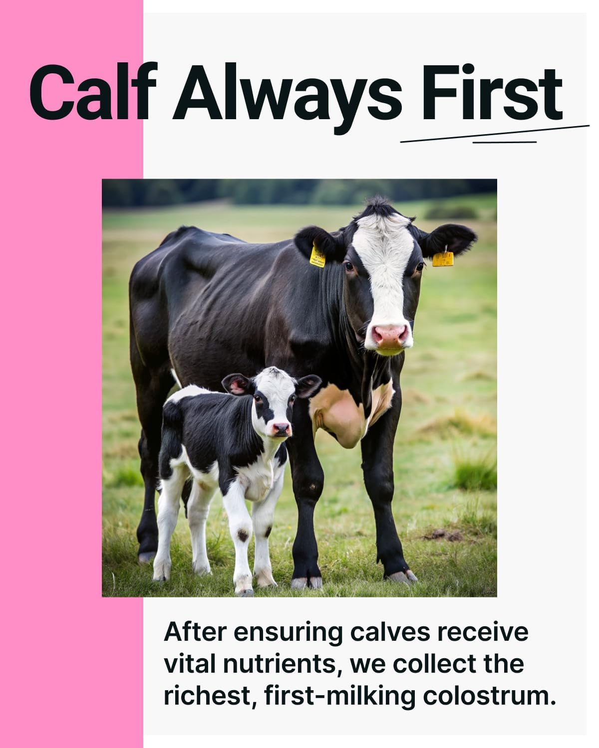 Envase reciclable de Sonohalth Cowabunga Colostrum.