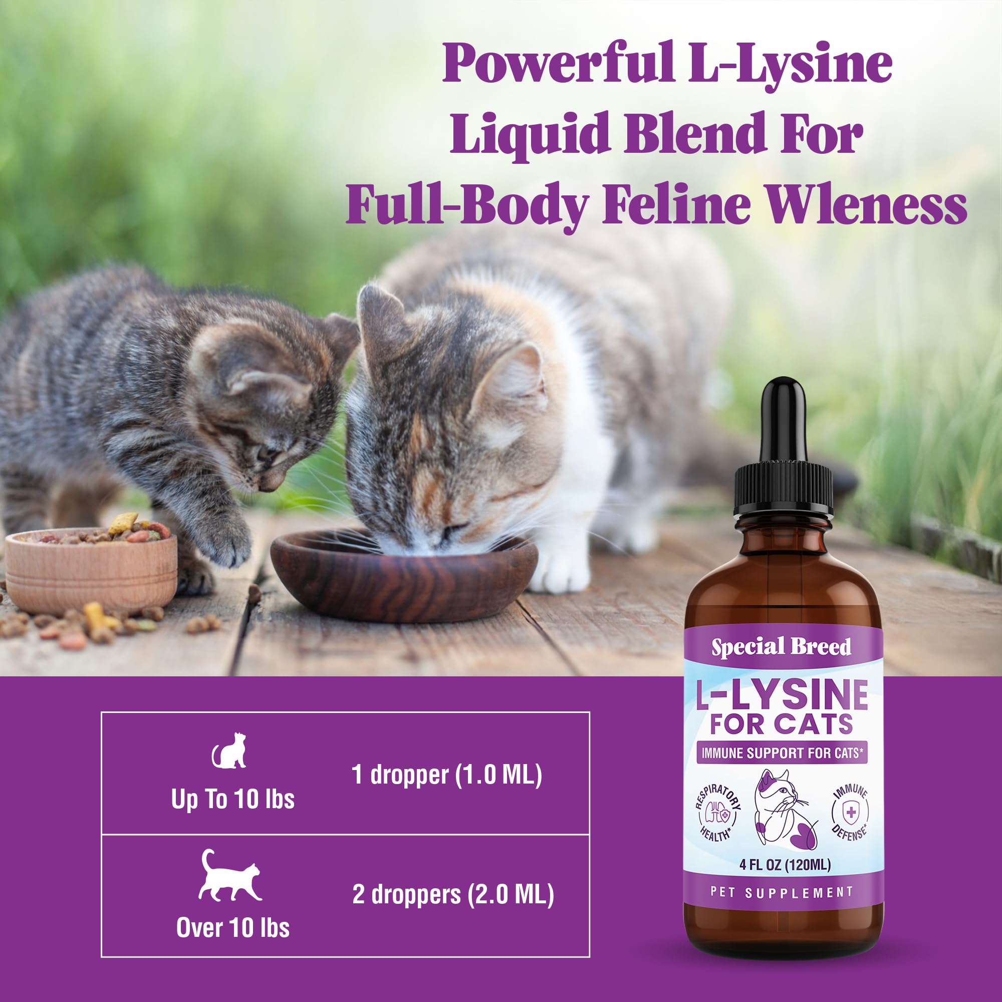 Special Breed Lisina: apoyo respiratorio suave para gatos y gatitos