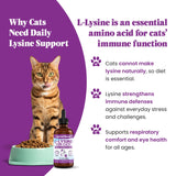 Special Breed Lisina: dosificador sencillo para mezclar con comida o agua