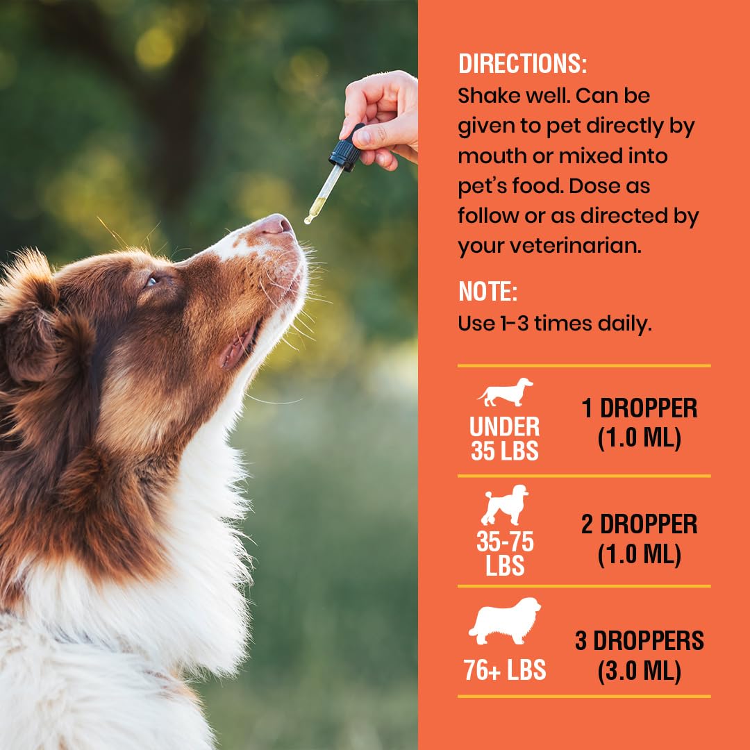Special Breed vitamina C para perros, aplicación diaria simplificada para dueños.