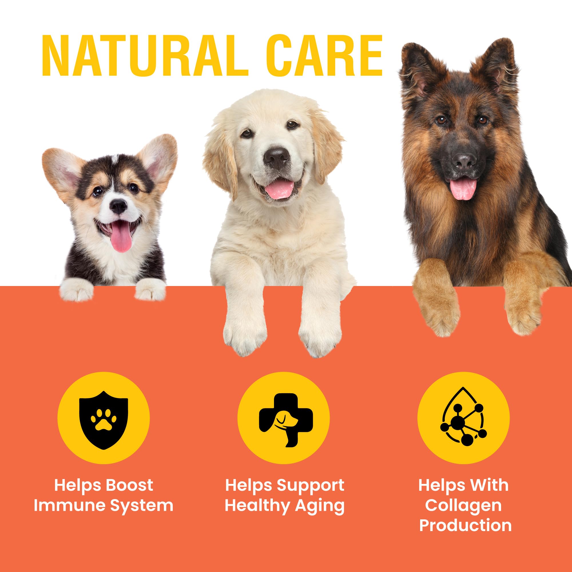 Special Breed vitamina C para perros, dosis en gotas para mayor comodidad.
