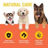 Special Breed vitamina C para perros, dosis en gotas para mayor comodidad.