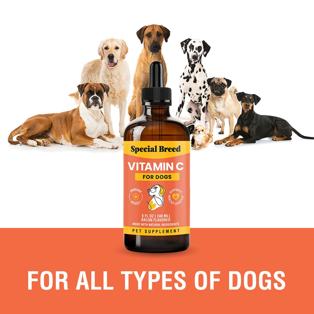 Special Breed vitamina C para perros, sabor bacon que facilita la toma.