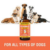 Special Breed vitamina C para perros, sabor bacon que facilita la toma.