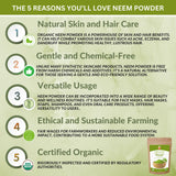SPICY ORGANIC Neem Powder, mascarilla capilar para cabello suave y brillante.
