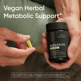 Sports Research Berberina: lista de ingredientes clave para informarte.