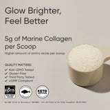 Sports Research Collagen Beauty Complex, cuchara de medida, dosis diaria sencilla.