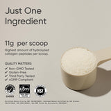 Sports Research Collagen Medidor, dosificación precisa para ingesta proteica.