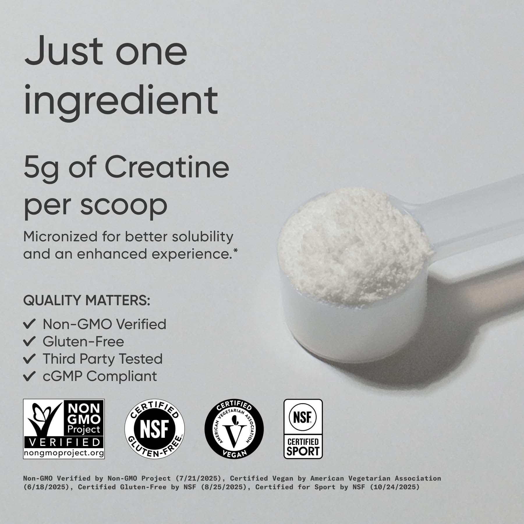 Sports Research Creatina Monohidrato con cuchara medidora, dosis fáciles para entrenos consistentes