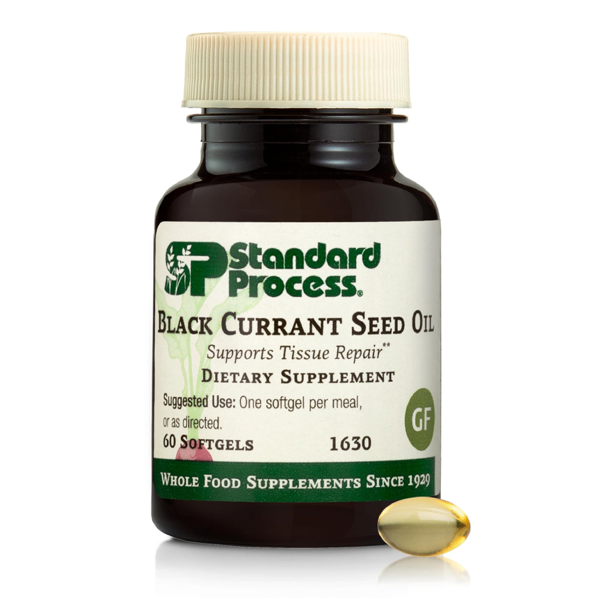 Standard Process Black Currant Seed Oil: cápsulas para apoyar el tejido y la rutina diaria.
