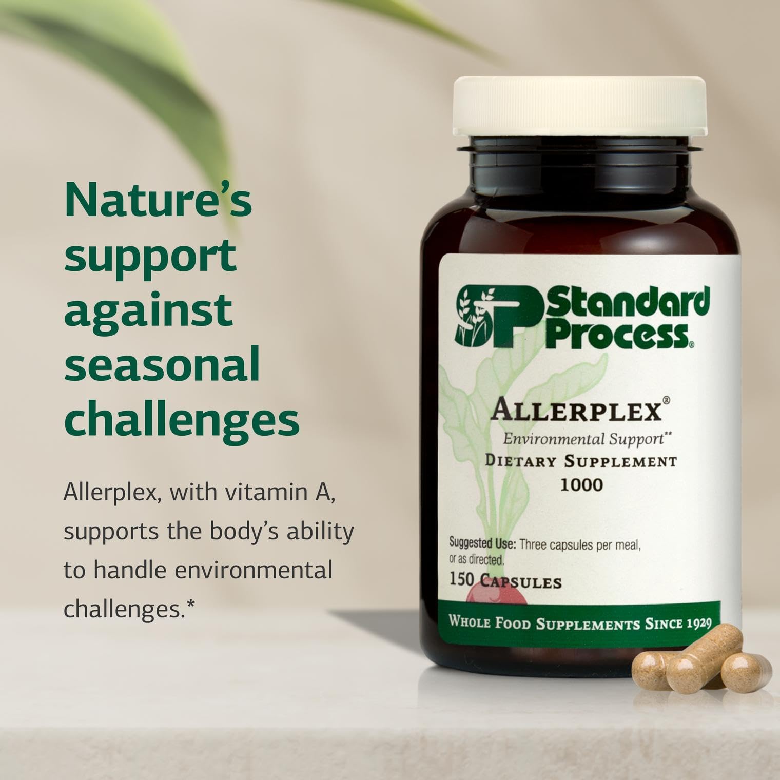 Etiqueta de Allerplex explica ingredientes clave y beneficios posibles.