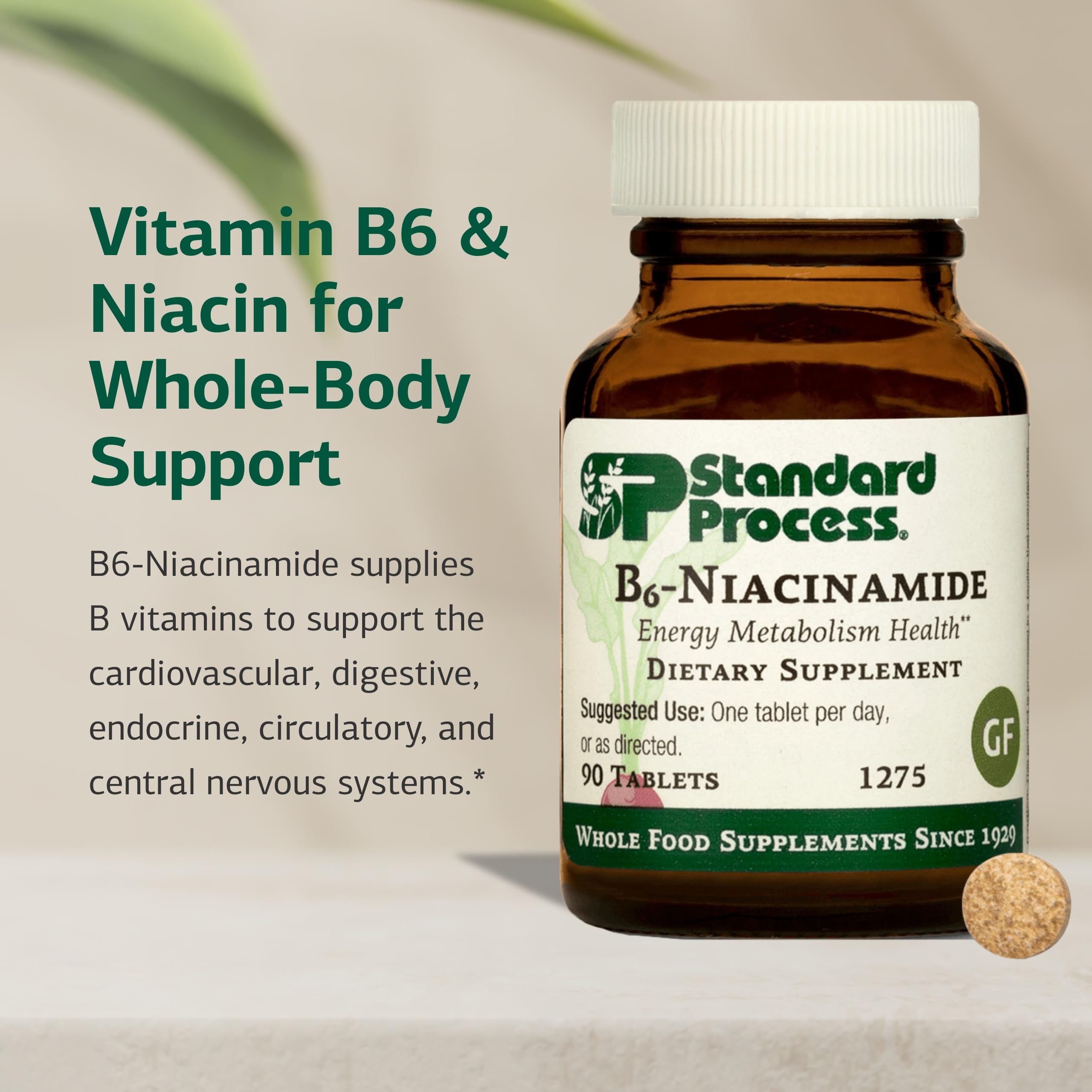 Standard Process B6‑Niacinamida: frasco con ingredientes clave para salud cardiovascular.