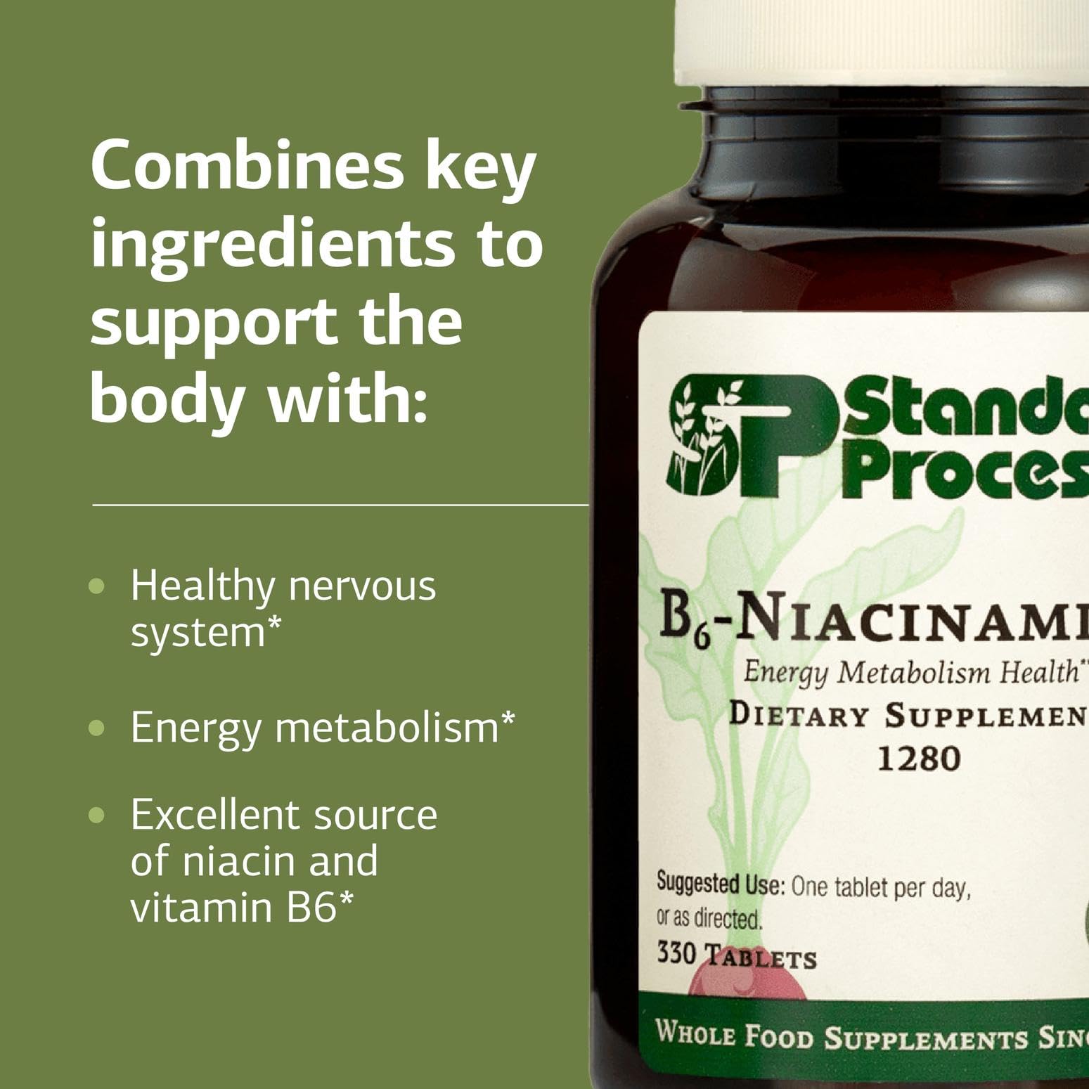 Standard Process B6-Niacinamida: apoyo digestivo gracias a niacina y B6