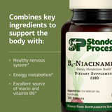 Standard Process B6-Niacinamida: apoyo digestivo gracias a niacina y B6