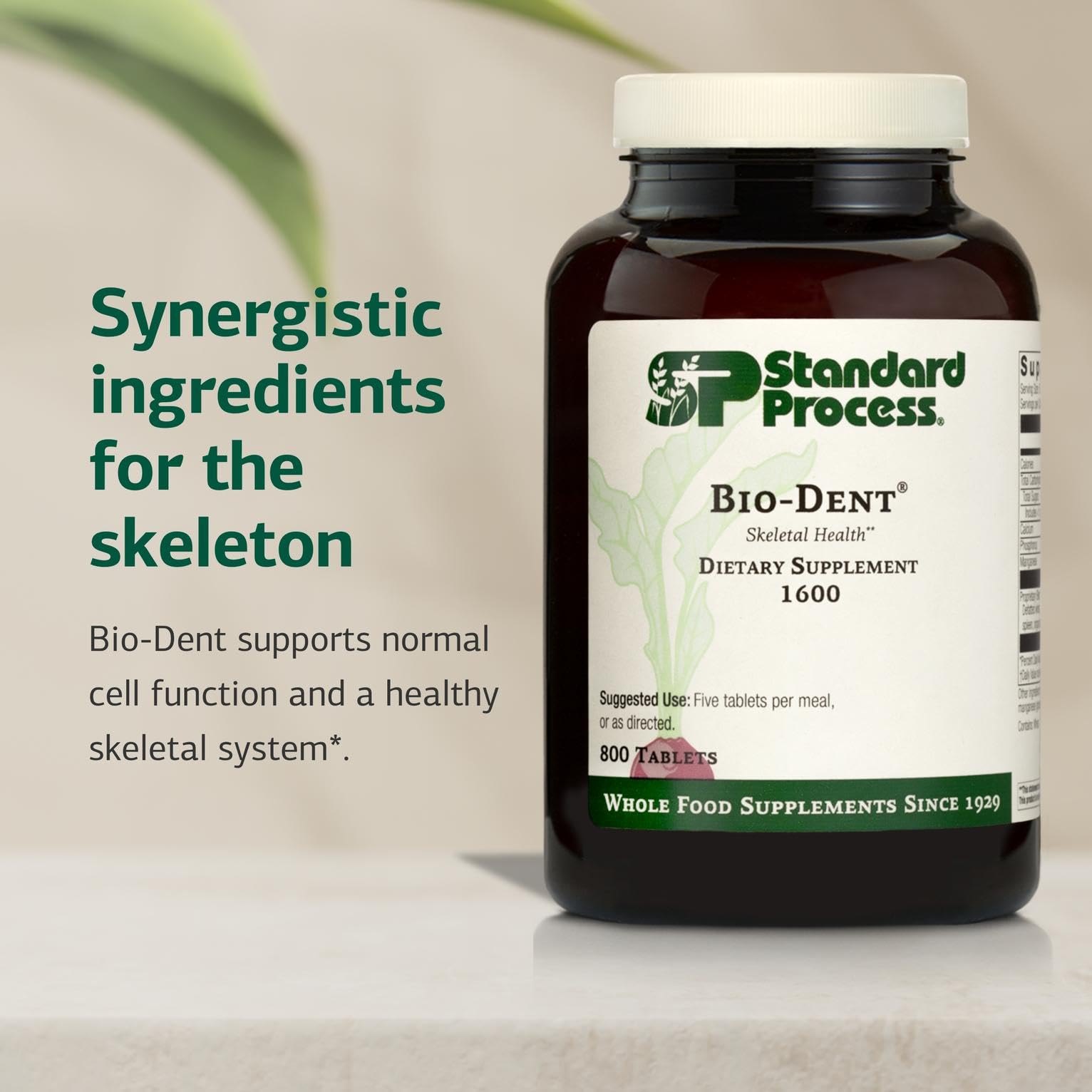 Bio-Dent de Standard Process, tabletas en vaso para uso diario