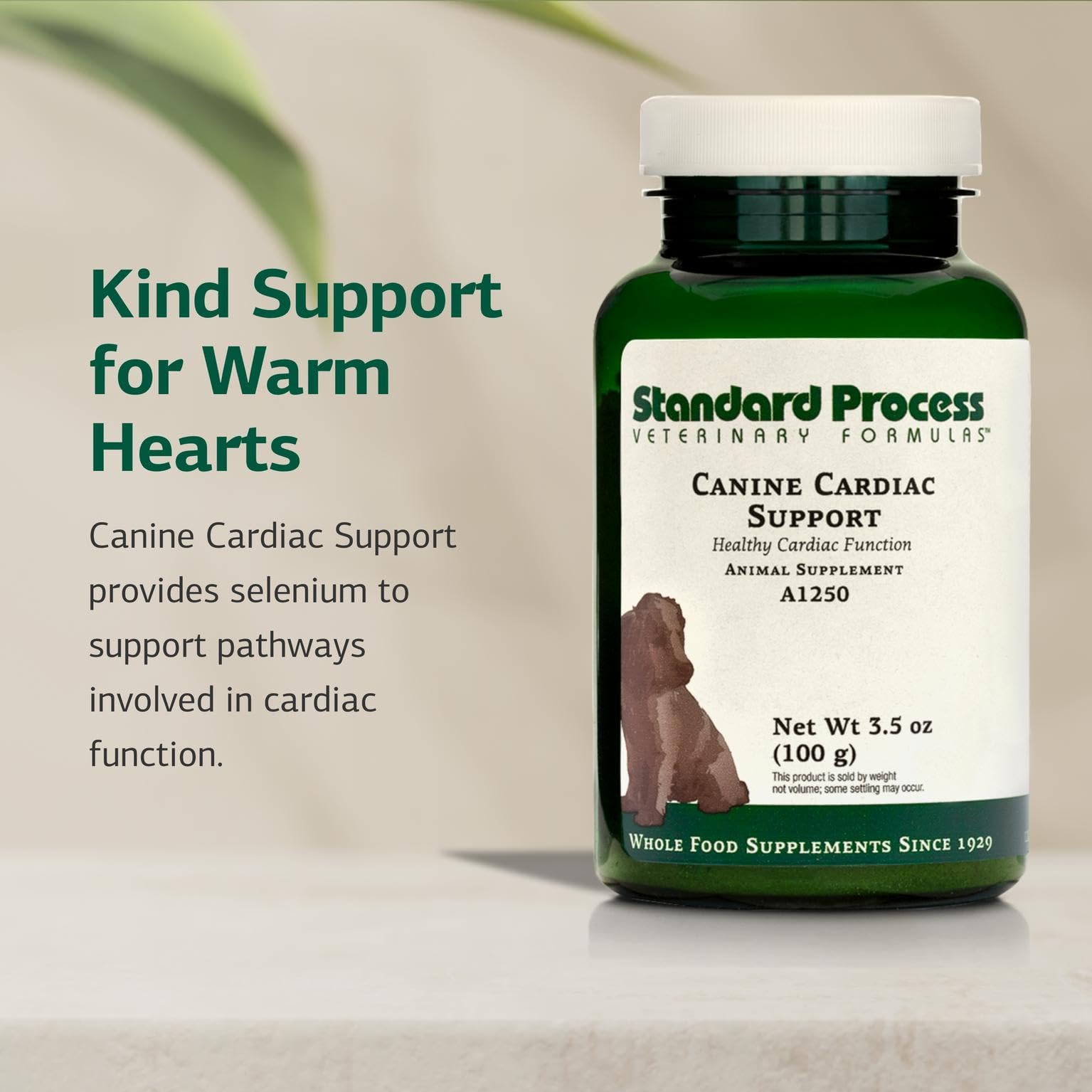 Standard Process Canine Cardiac Support: caja-empaque ofrece almacenamiento limpio para el suplemento.