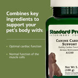 Standard Process Canine Cardiac Support: perro-corazon-sano ayuda en momentos de juego diario.