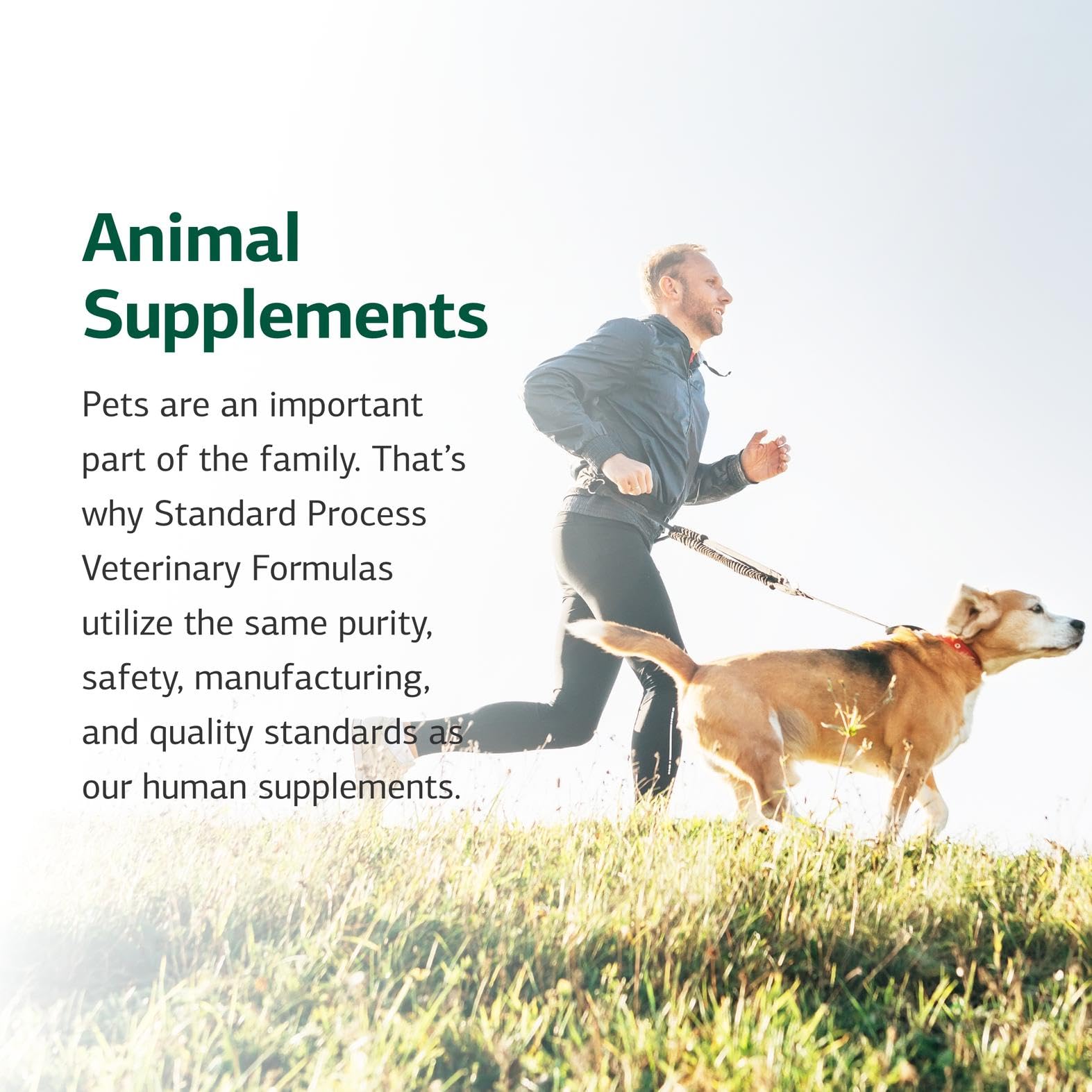 Standard Process Canine Cardiac Support: uso-diario recomendado para incluir en la dieta.