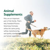 Standard Process Canine Cardiac Support: uso-diario recomendado para incluir en la dieta.