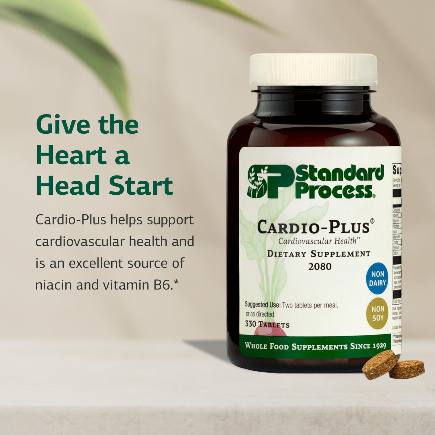 Cardio-Plus de Standard Process, ingredientes clave: antioxidantes para energía sostenida.