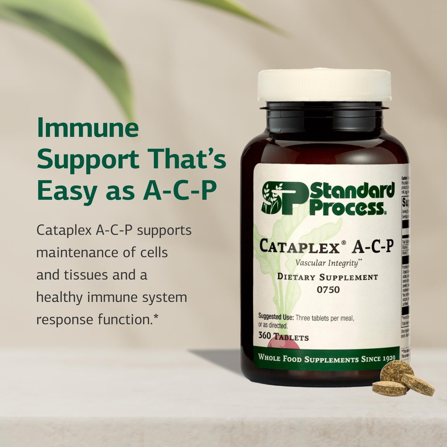 Standard Process Cataplex A-C-P, tabletas para uso diario de nutrientes.