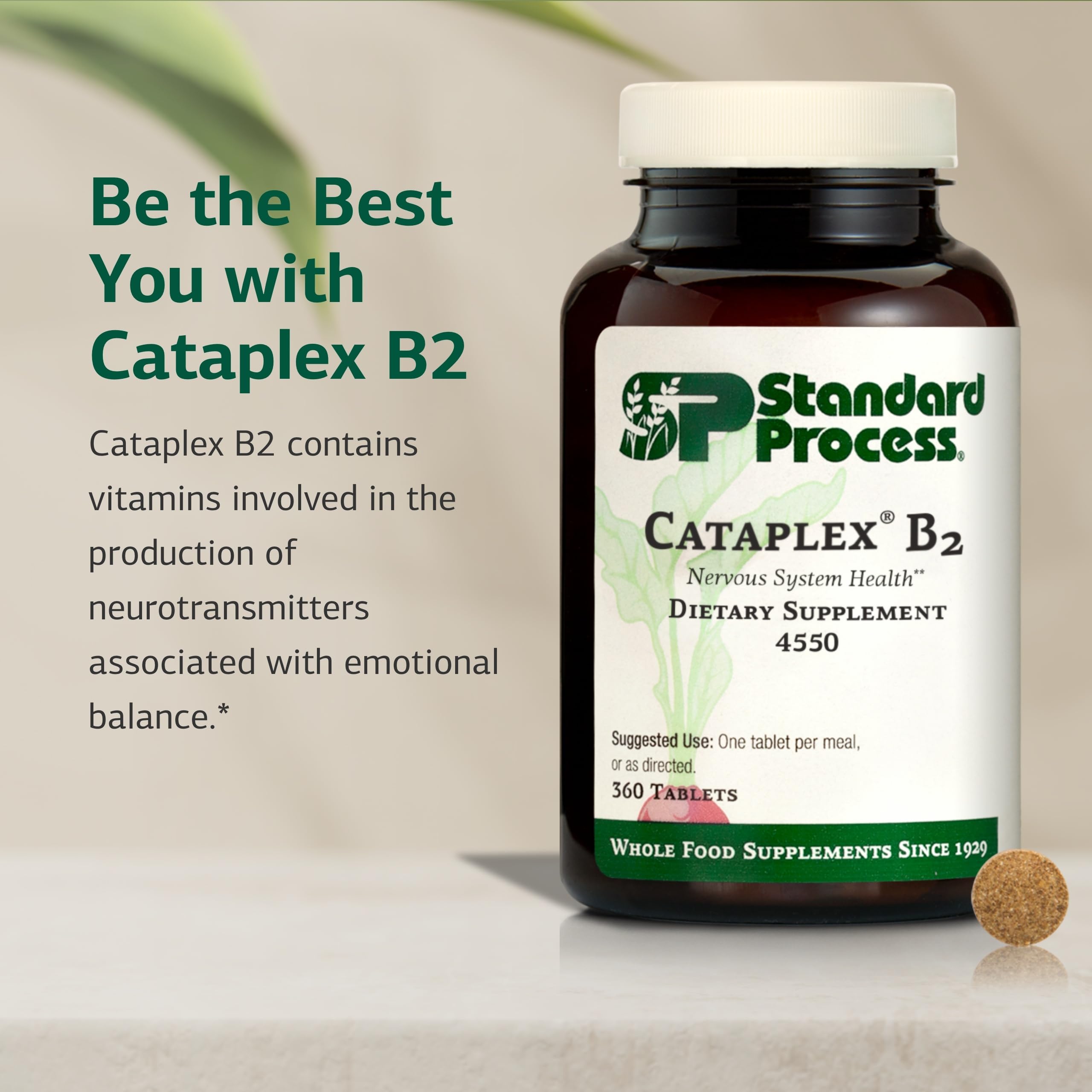 Cataplex B2 de Standard Process: cápsulas fáciles de tomar para nutrición diaria