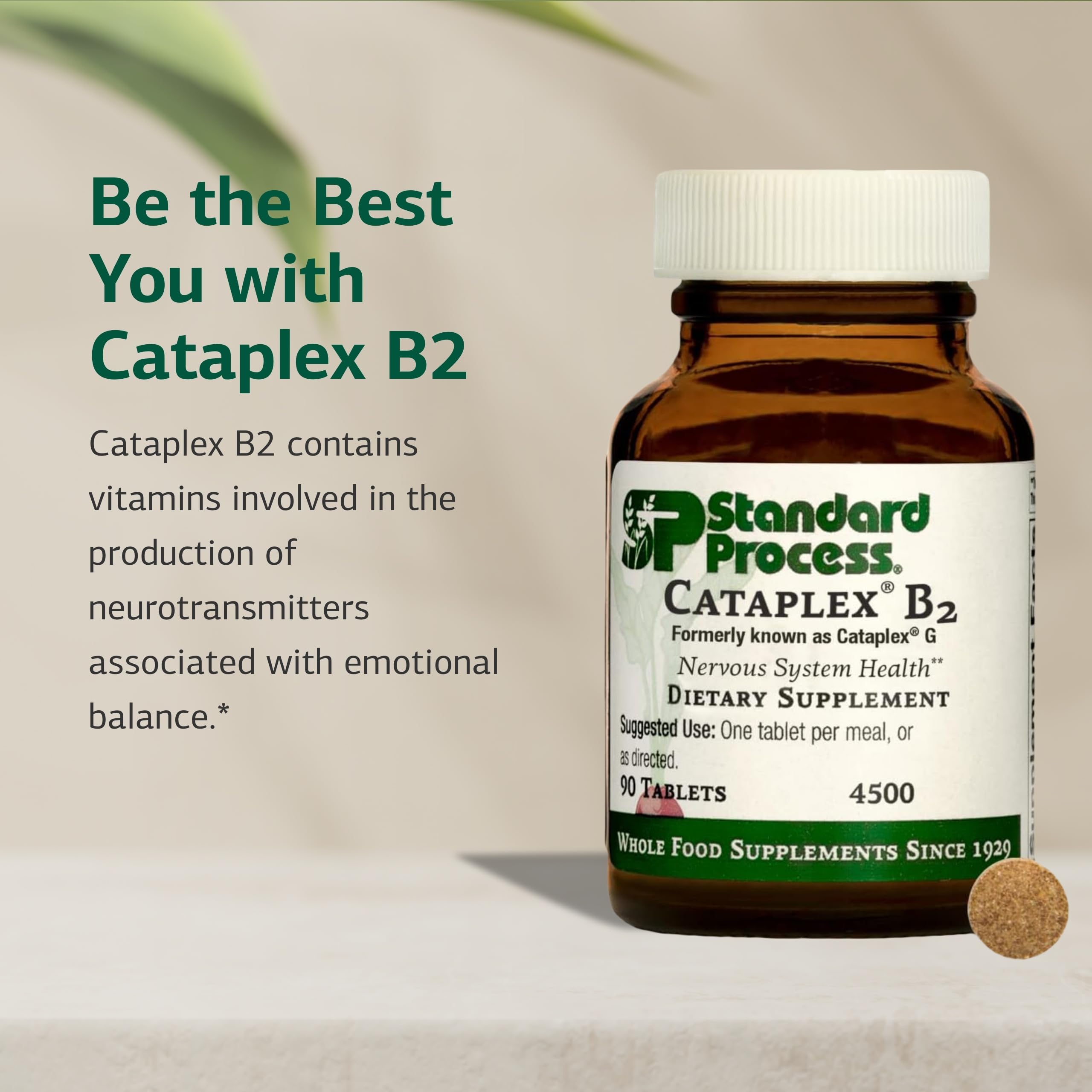 Tabletas de Cataplex B2 listas para uso diario en tu rutina de bienestar
