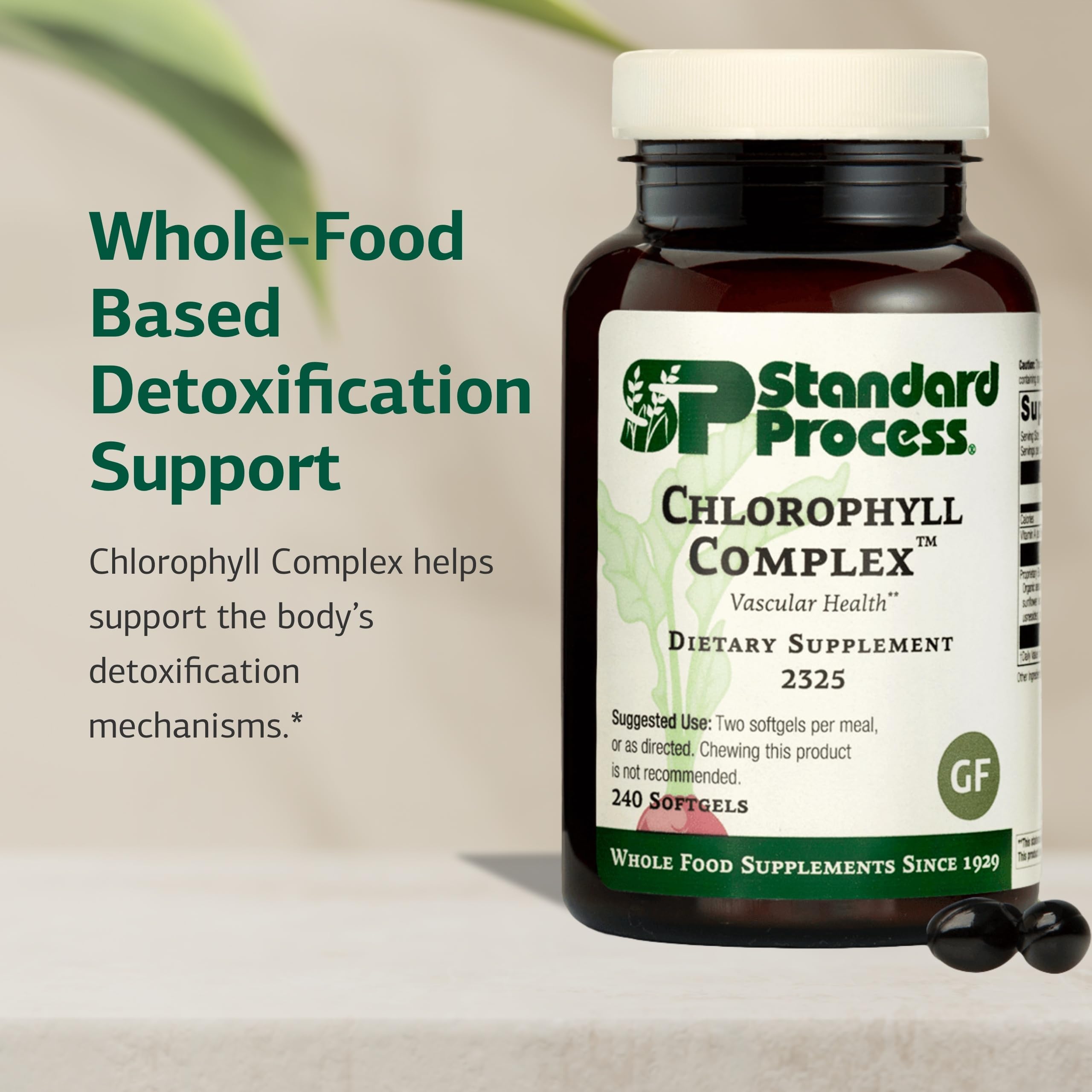 Standard Process Chlorophyll Complex, etiqueta legible, información detallada sobre ingredientes y funciones.