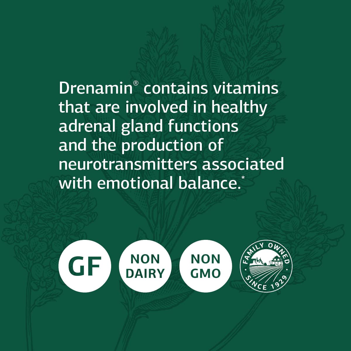 Standard Process Drenamin, persona tomando dosis diaria para bienestar