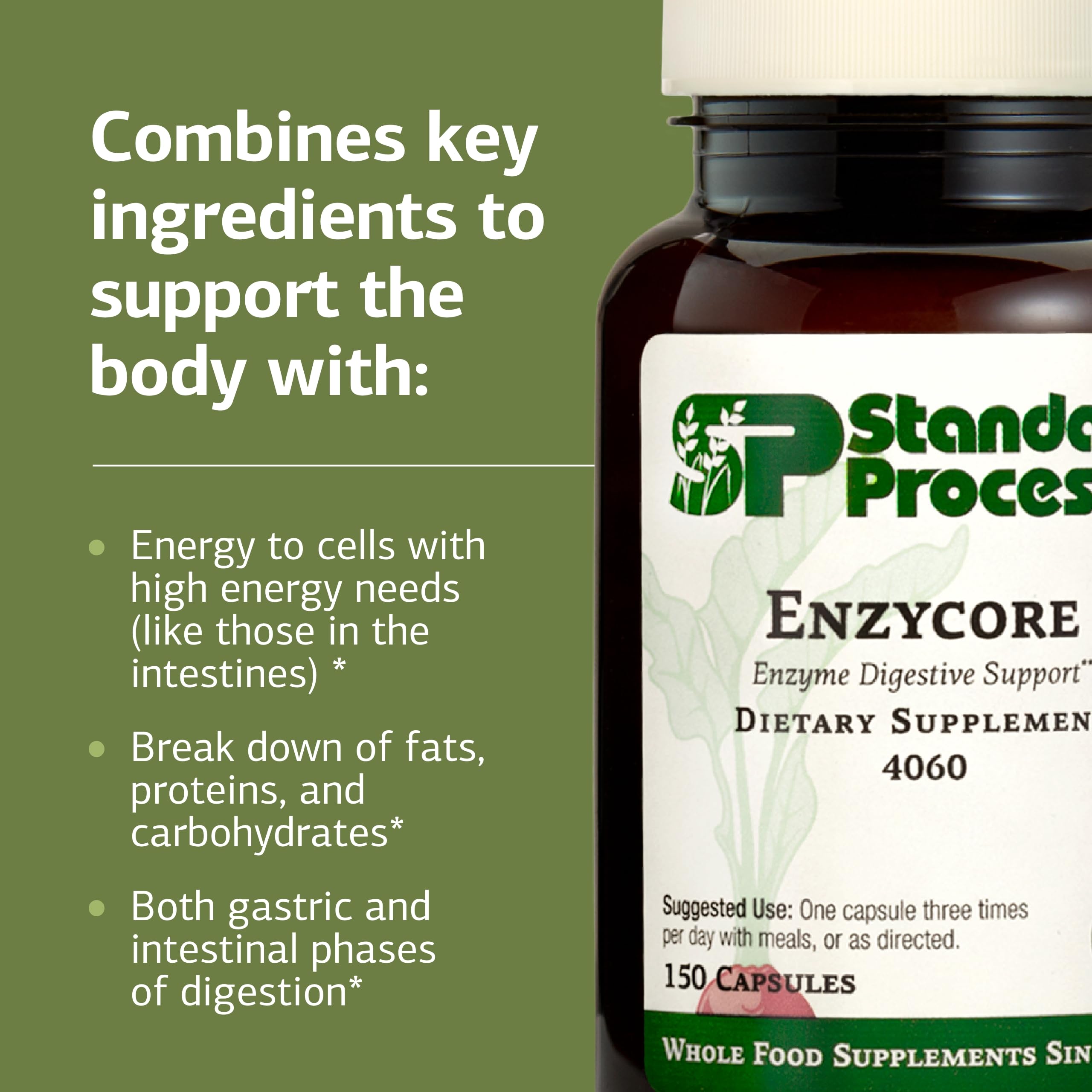 Enzycore: ingredientes clave, enzimas y polvos de col rizada y remolacha.