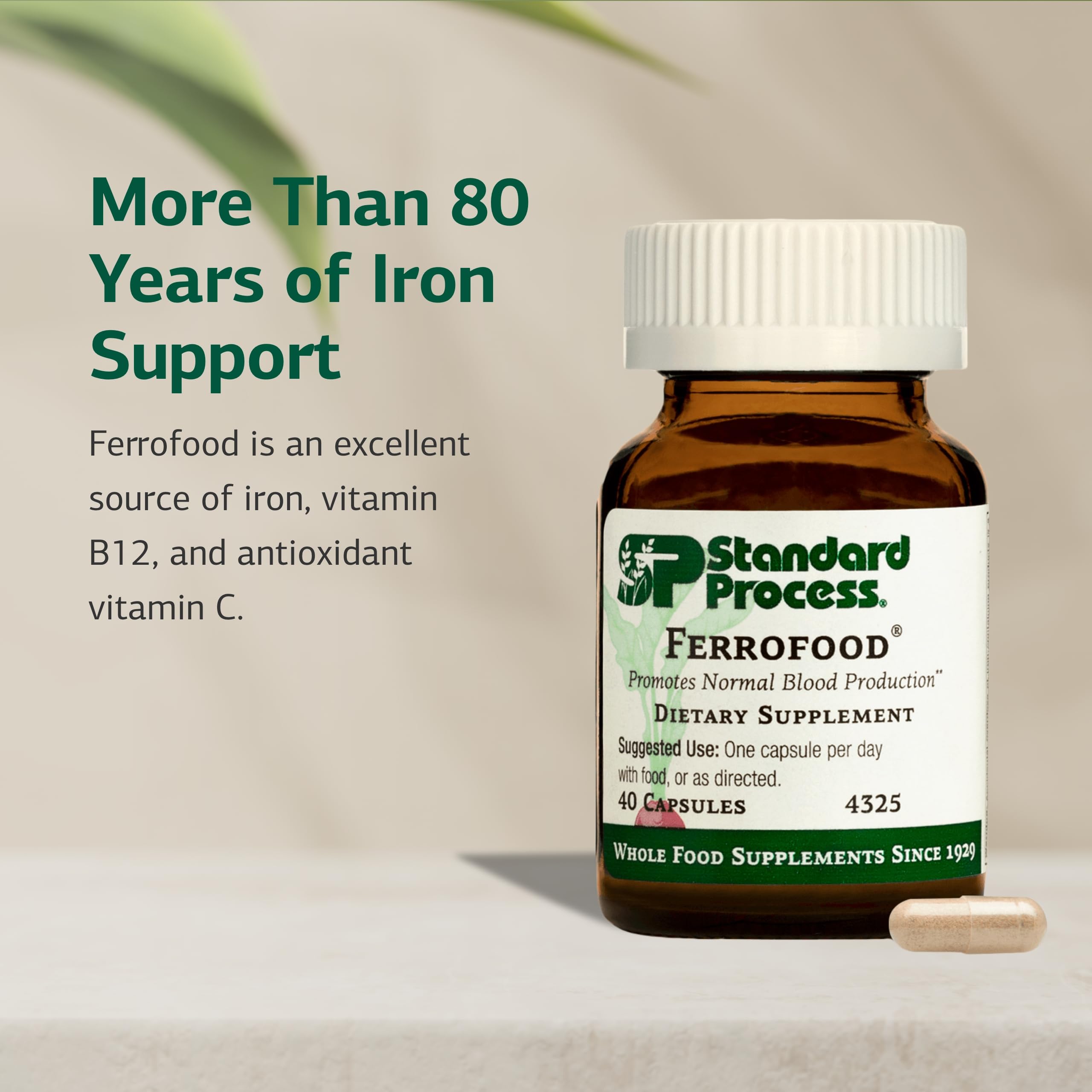 Standard Process Ferrofood: etiqueta clara con ingredientes clave y dosis recomendadas.