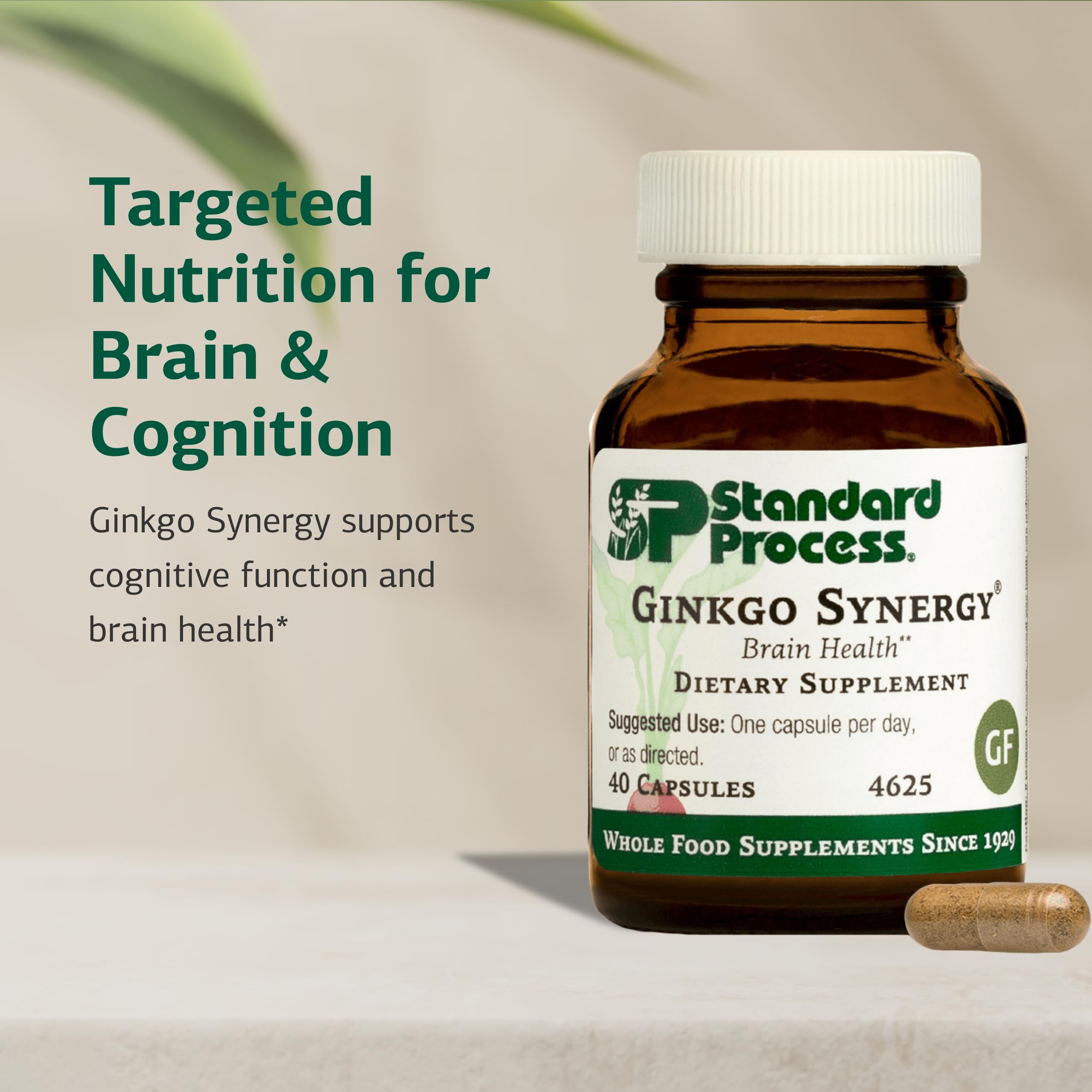 Standard Process Ginkgo Synergy botella para almacenamiento práctico.