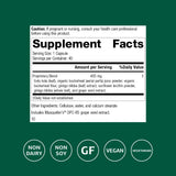 Standard Process Ginkgo Synergy ingredientes clave: ginkgo y harina de alforfón para antioxidantes.