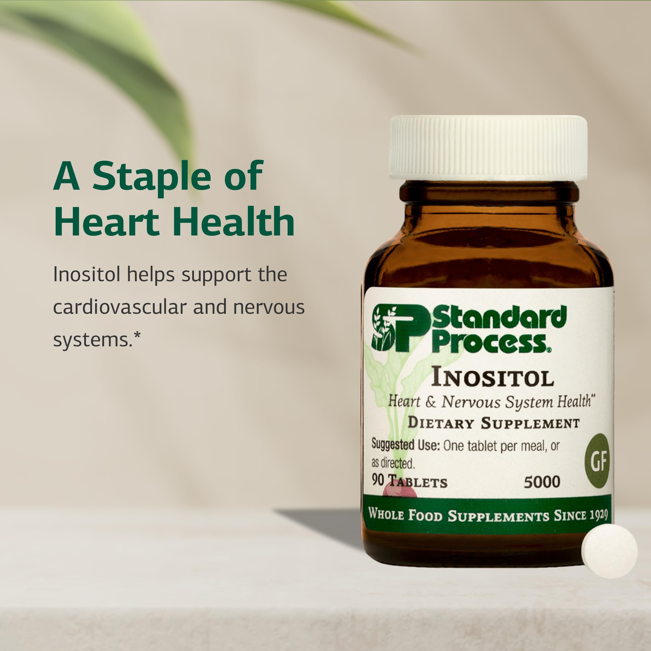Standard Process Inositol, etiqueta del producto informando ingredientes y uso recomendado.