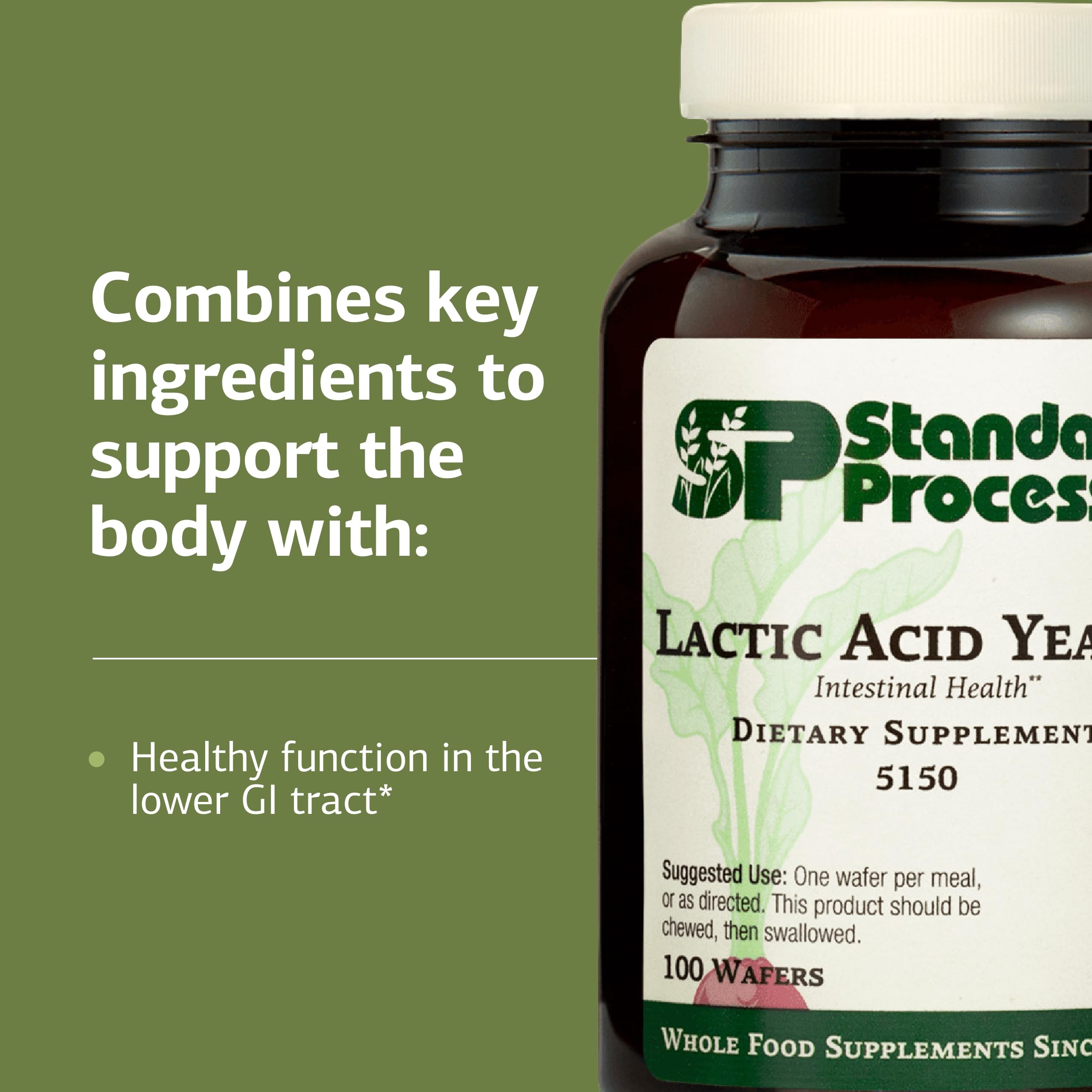 Standard Process Lactic Acid Yeast: etiqueta, ingredientes de calidad para el cuidado intestinal.