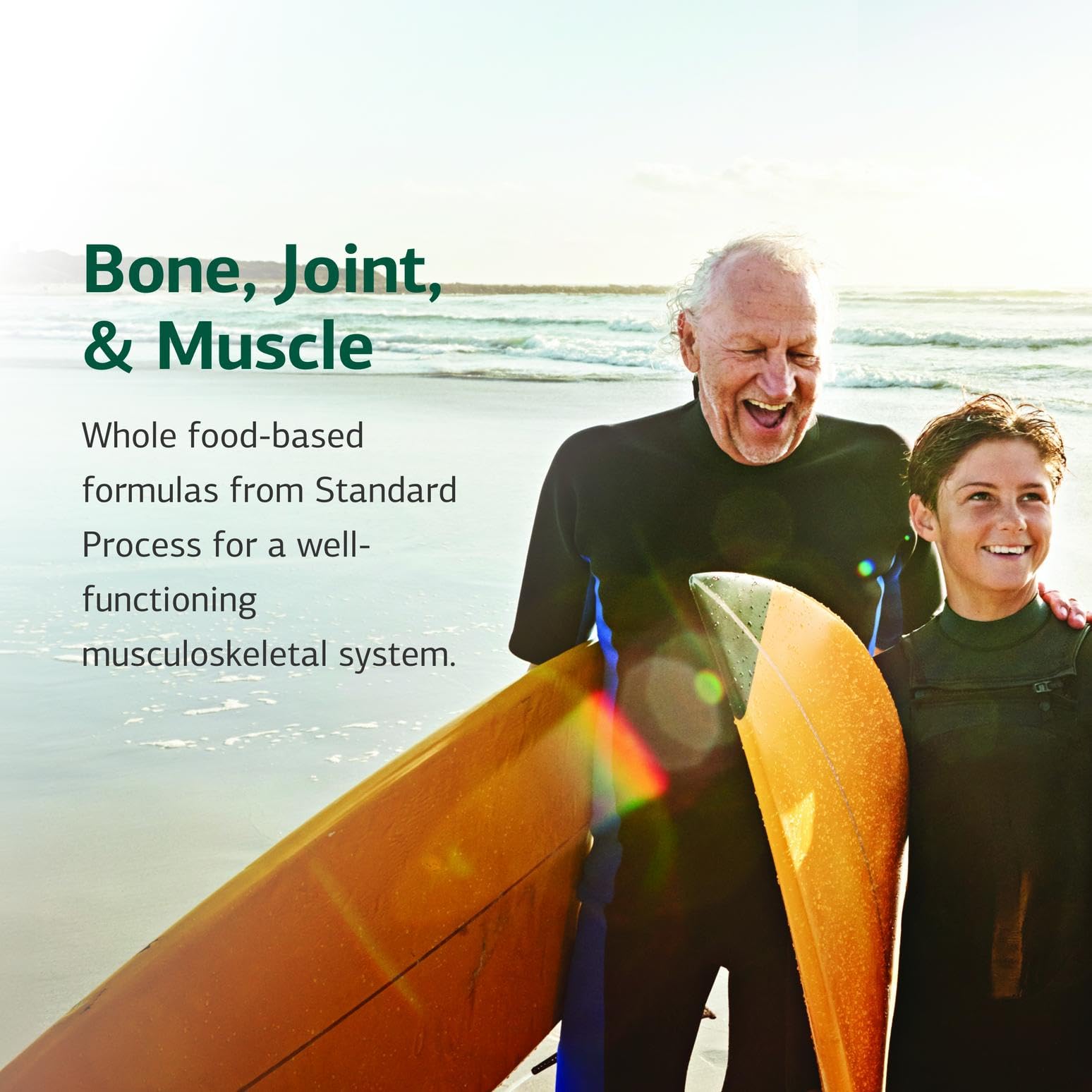 Nutrientes clave de Ligaplex II: manganeso y vitaminas A, B12 y D.
