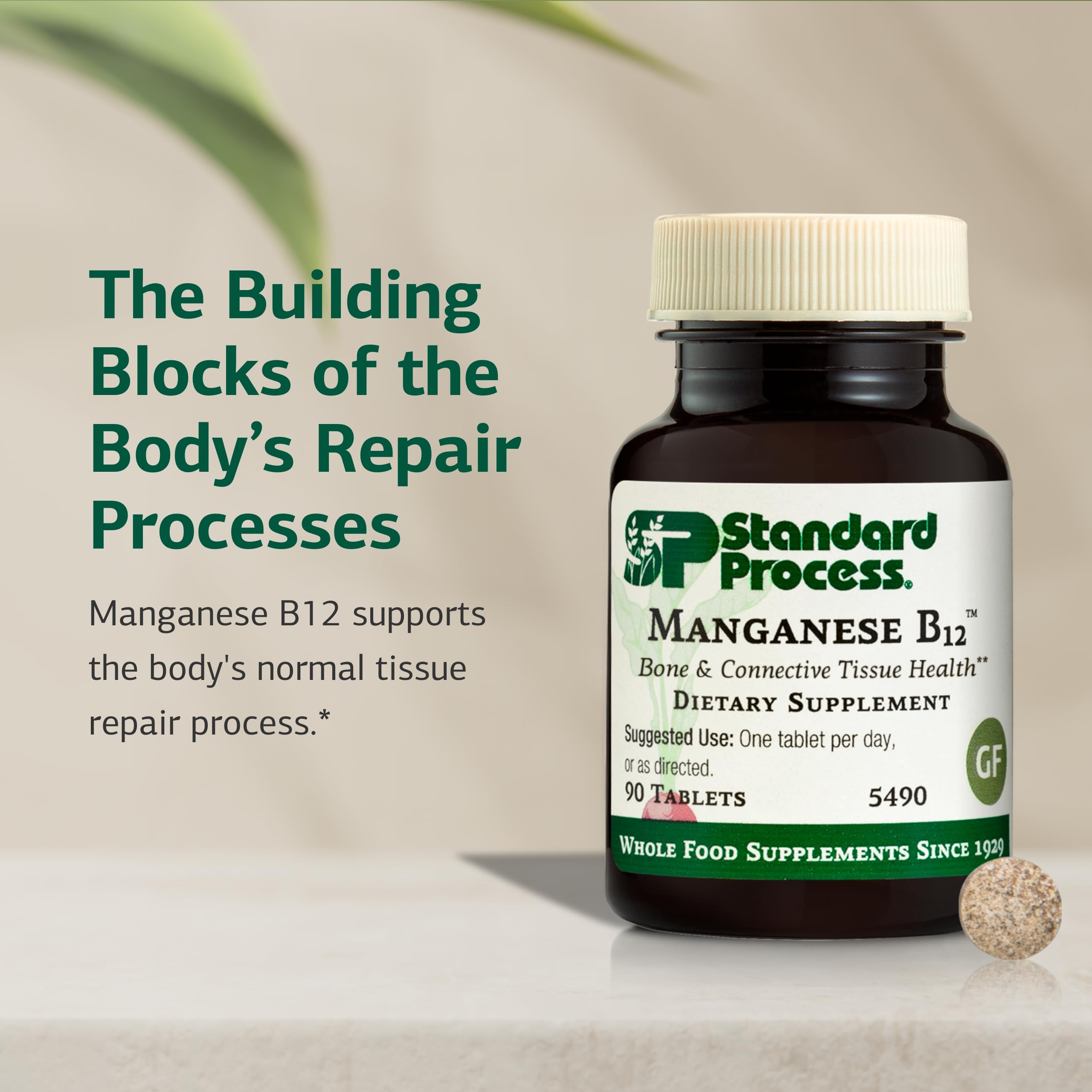 Standard Process Manganeso B12: comprimidos en botella muestran formato práctico para uso diario.