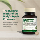 Standard Process Manganeso B12: comprimidos en botella muestran formato práctico para uso diario.