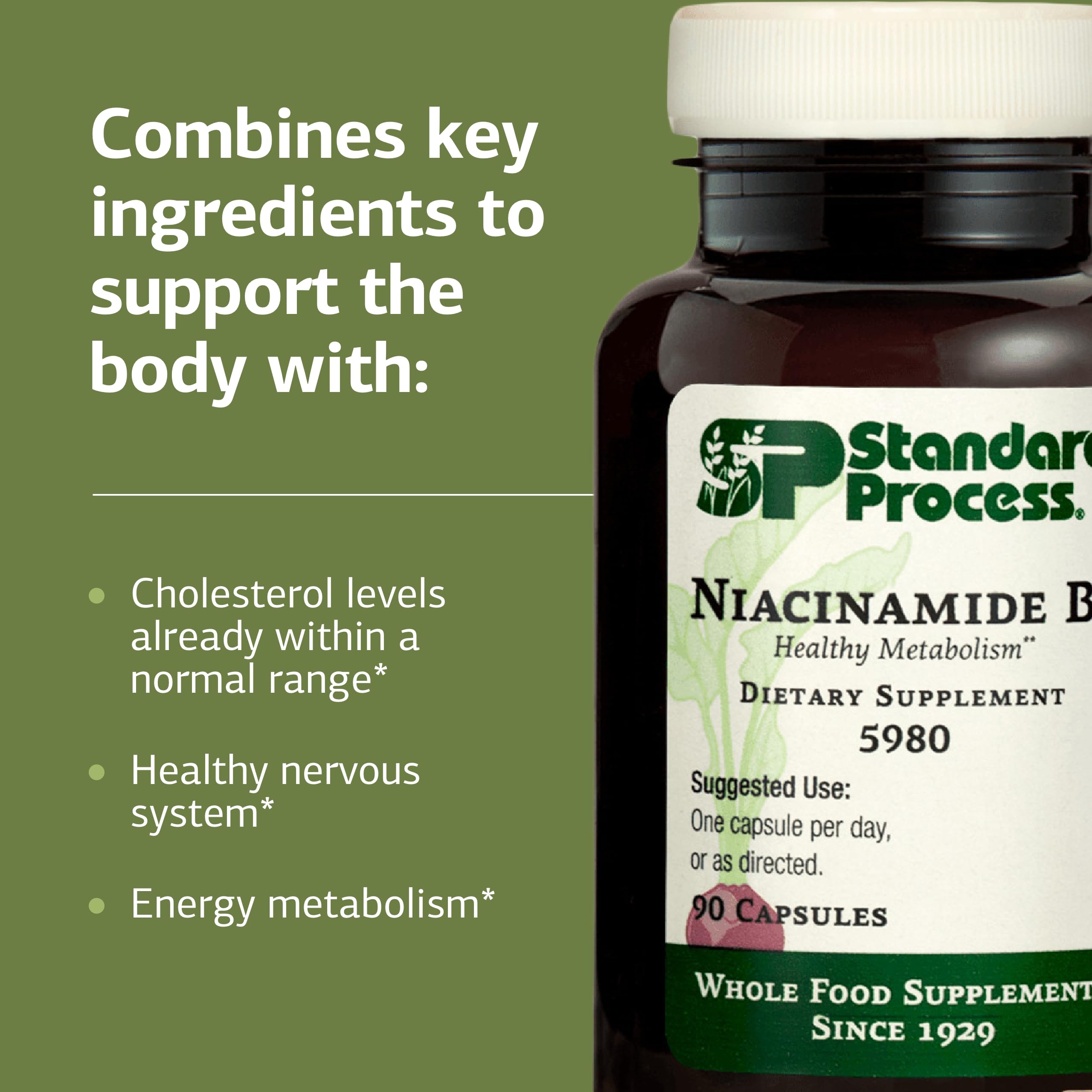 Standard Process Niacinamida B6, frasco y cápsulas, soporte potencial para la salud digestiva.