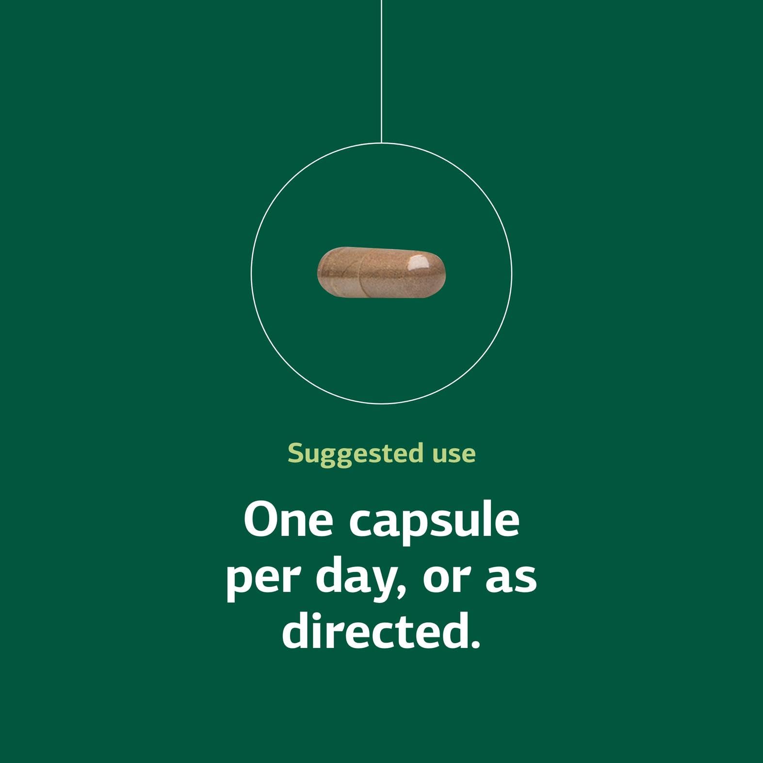 Standard Process OPC Synergy: cápsula que indica apoyo antioxidante para la salud general