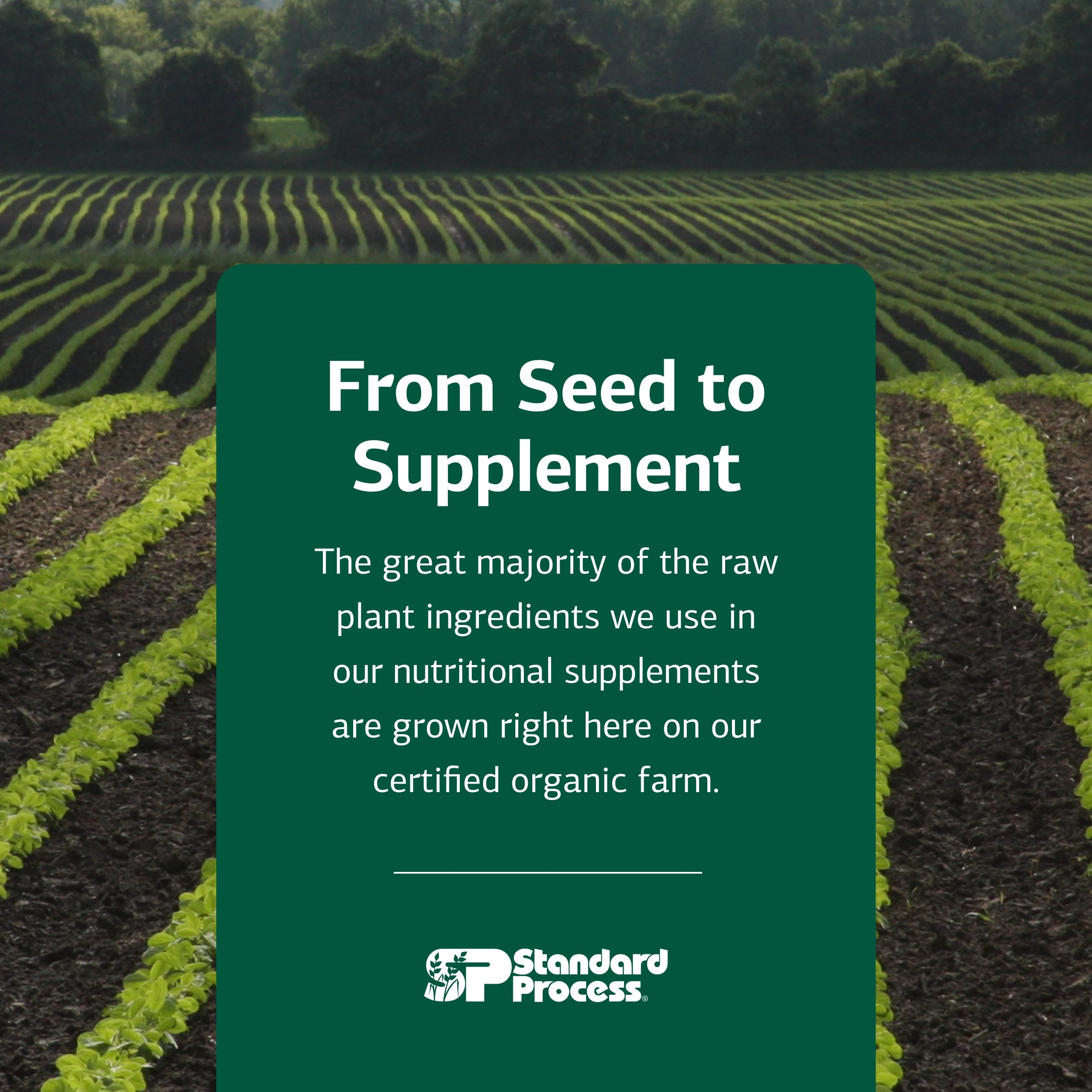 Phosfood para uso diario en agua, apoyo nutricional.