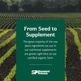 Phosfood para uso diario en agua, apoyo nutricional.