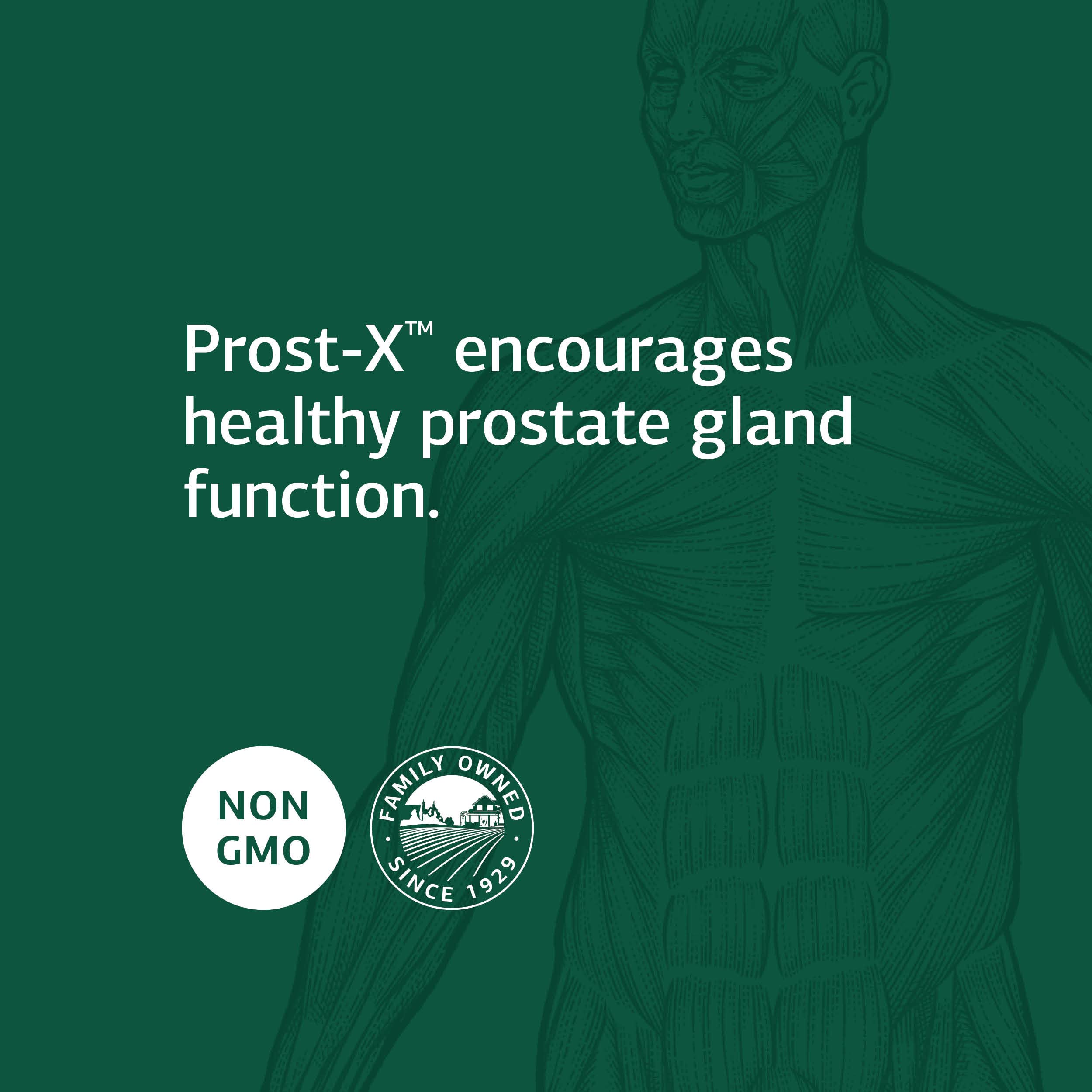 Prost-X de Standard Process: musgo español como ingrediente natural.