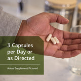 Cápsulas ProSynbiotic, tamaño práctico para uso diario.