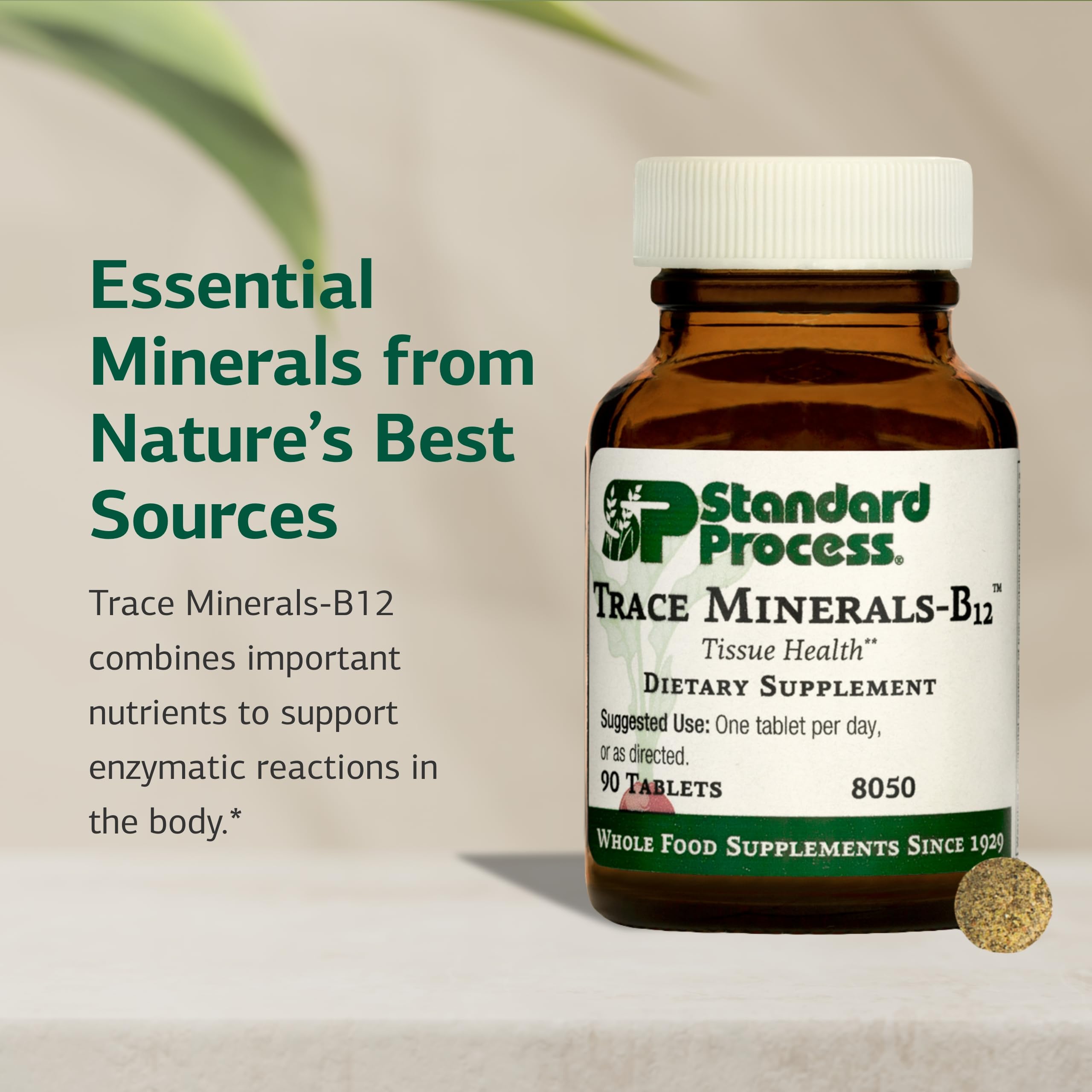 Standard Process Trace Minerals-B12: tabletas listas para uso diario.