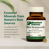 Standard Process Trace Minerals-B12: tabletas listas para uso diario.
