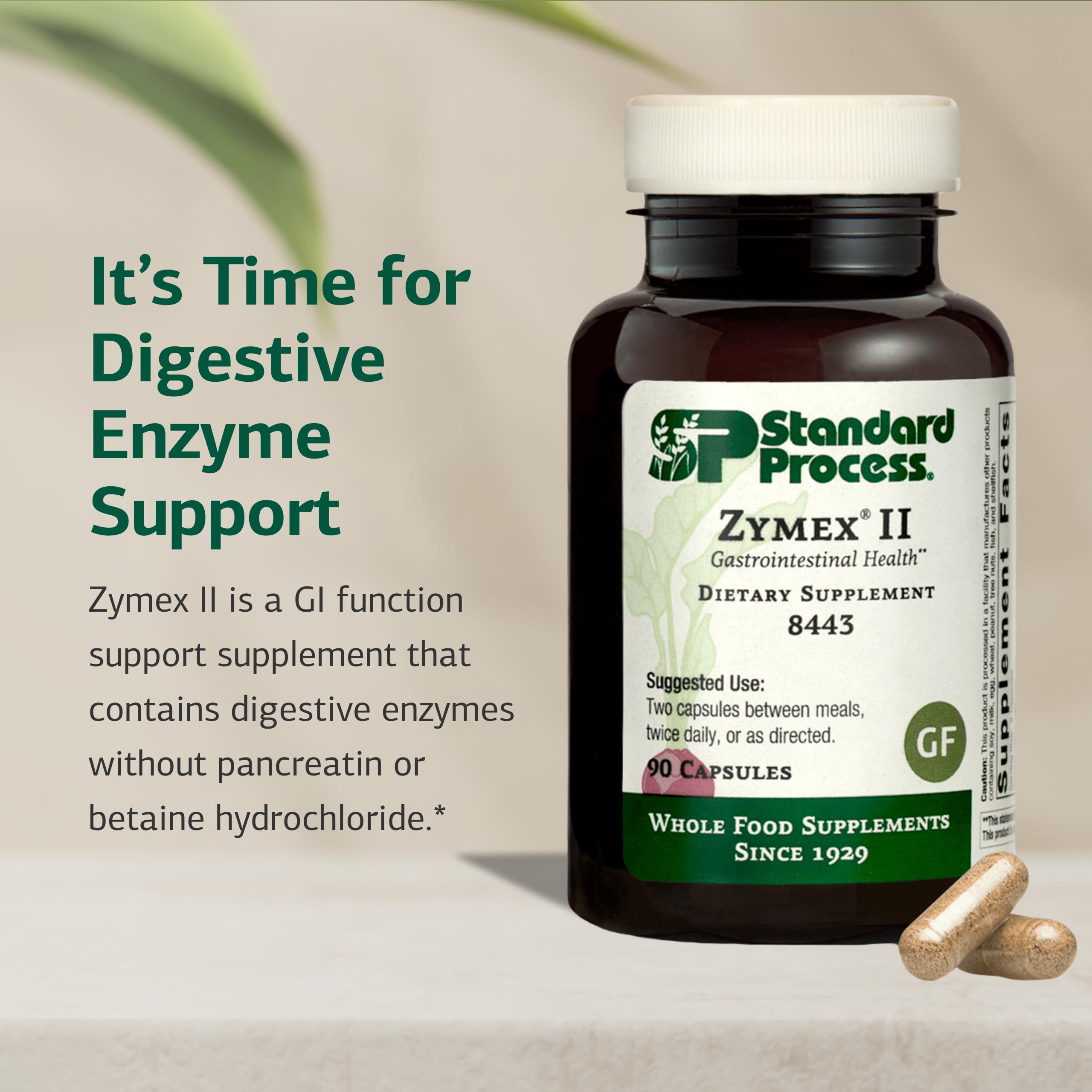 Cápsulas digestivas Zymex II sin pancreatina ni betaina, de Standard Process.