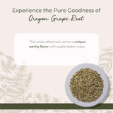 Raíz de Uva de Oregon de Starwest para infusiones con sabor terroso.