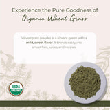 Starwest Botanicals polvo de hierba de trigo en agua, listo para beber
