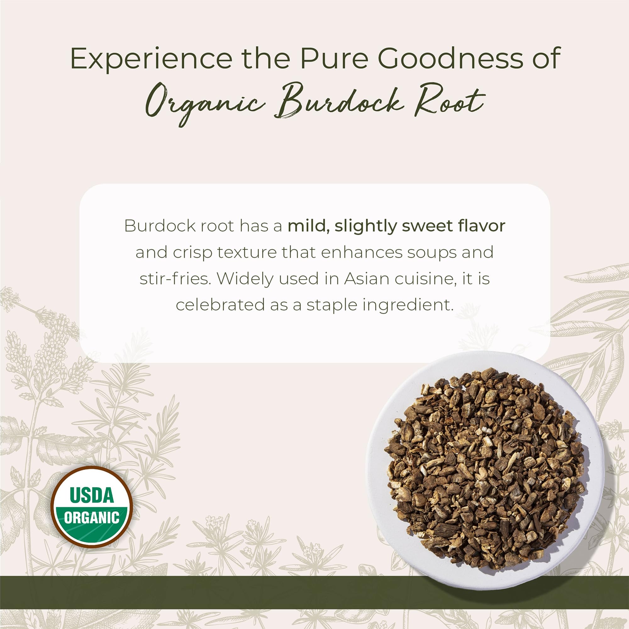 Starwest Botanicals raíz de bardana orgánica en bolsa de 454 g para cocinar